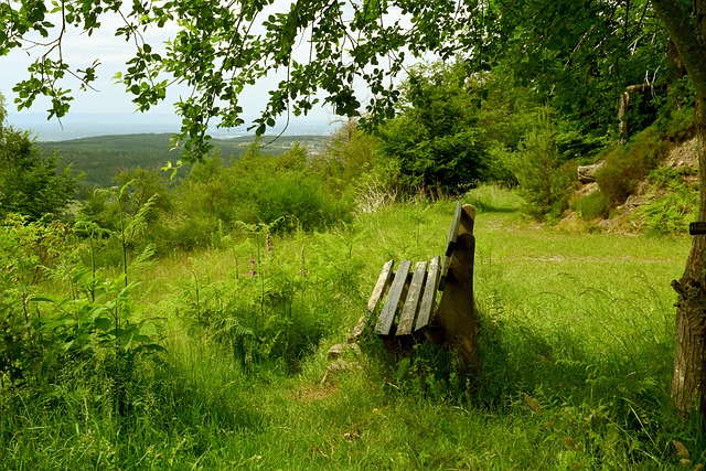 樂部和球星 樂部和球星