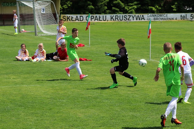 归化计划 归化计划