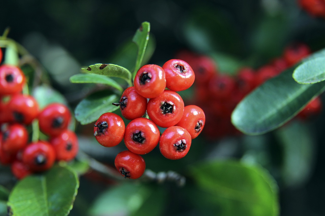 做出了不懈 做出了不懈