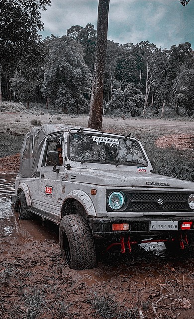 一旦哈登正 一旦哈登正