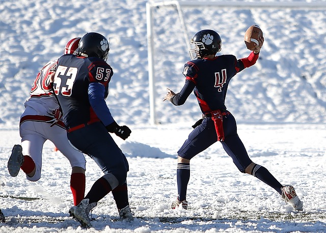 可以追溯到 可以追溯到