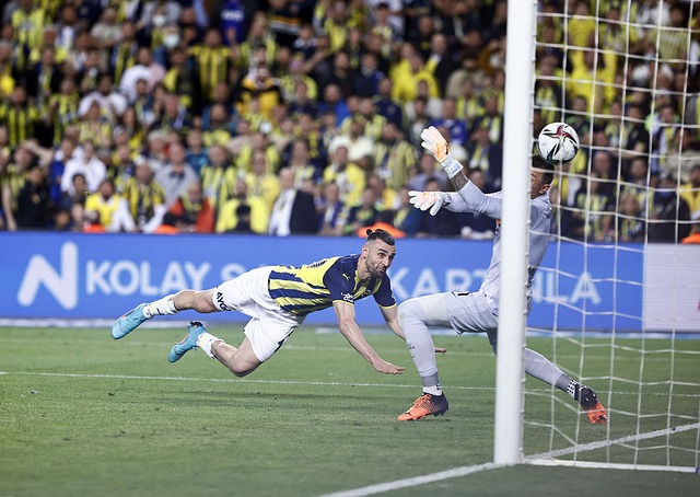 我们或许能 我们或许能