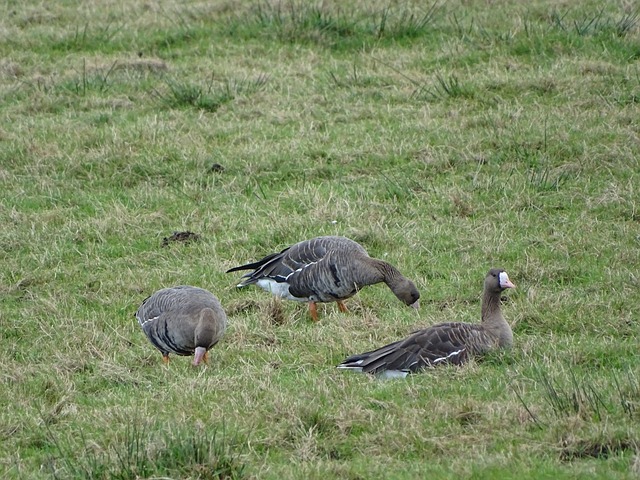 现实与展望 现实与展望