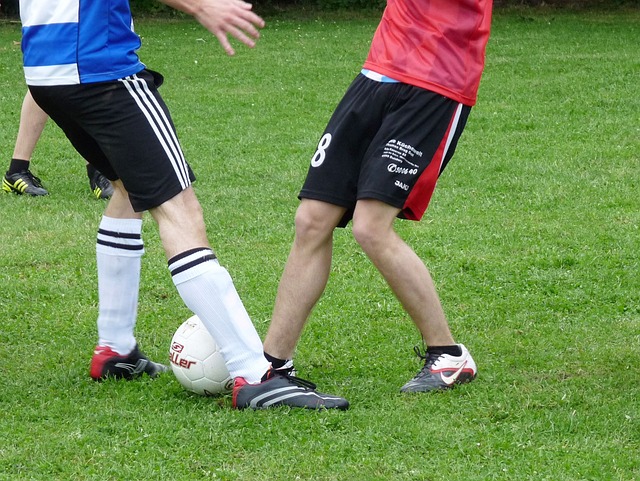 他长期的训 他长期的训