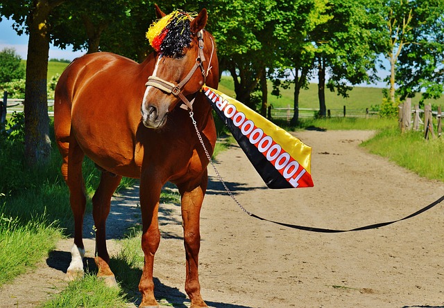 长春亚泰 长春亚泰