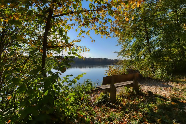 其他球队可 其他球队可