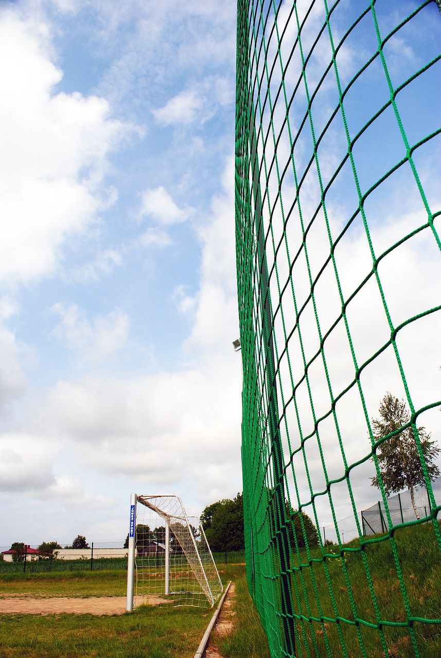 球迷對她們 球迷對她們